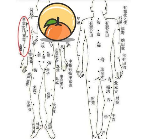 手臂有痣男|從手上的痣看你的好運在哪？上手臂有痣善於察言觀色。